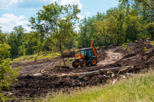 Brush Clearing